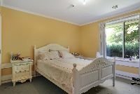 LR Photo 18-2-2022, 11 18 21 am