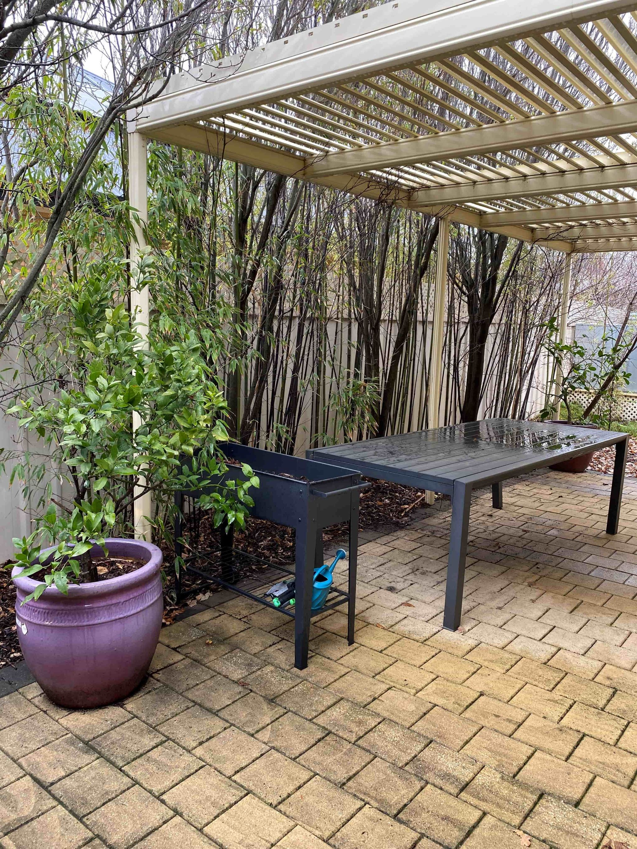 31 Fergusson Ave Courtyard-min