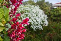 Screenshot 2025 01-17 at 2.16.30 pm