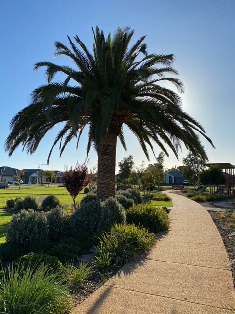 image1