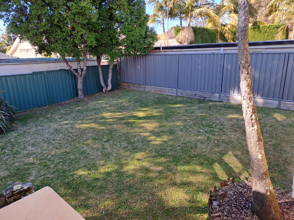 Belrose  16106)_Backyard