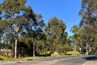 Smithfield   street view