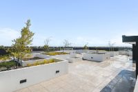 Rooftop Medium
