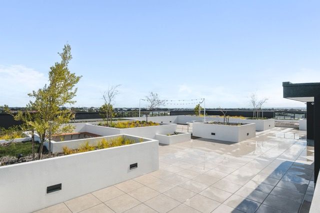 Rooftop Medium