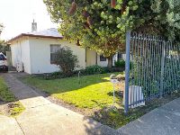 2025 08.13 - 53 Sturt - Front Gardens