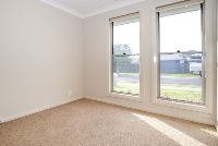 41 Mistfly St 2