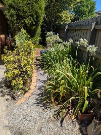 PXL 20250206_004305091