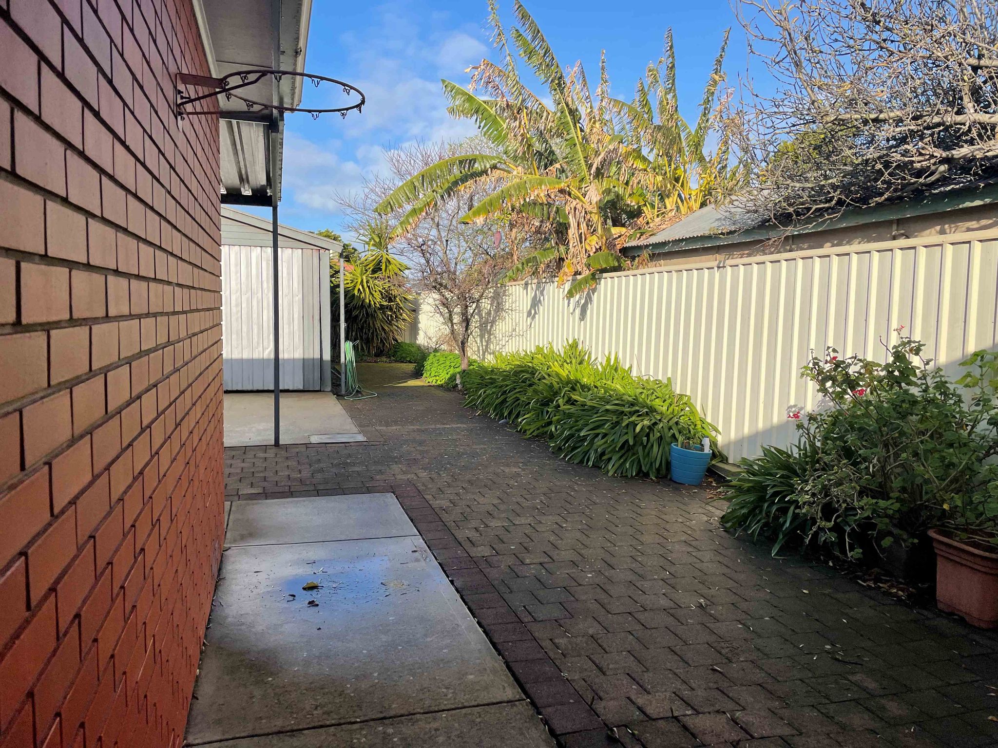 Cronin Rear Yard 1