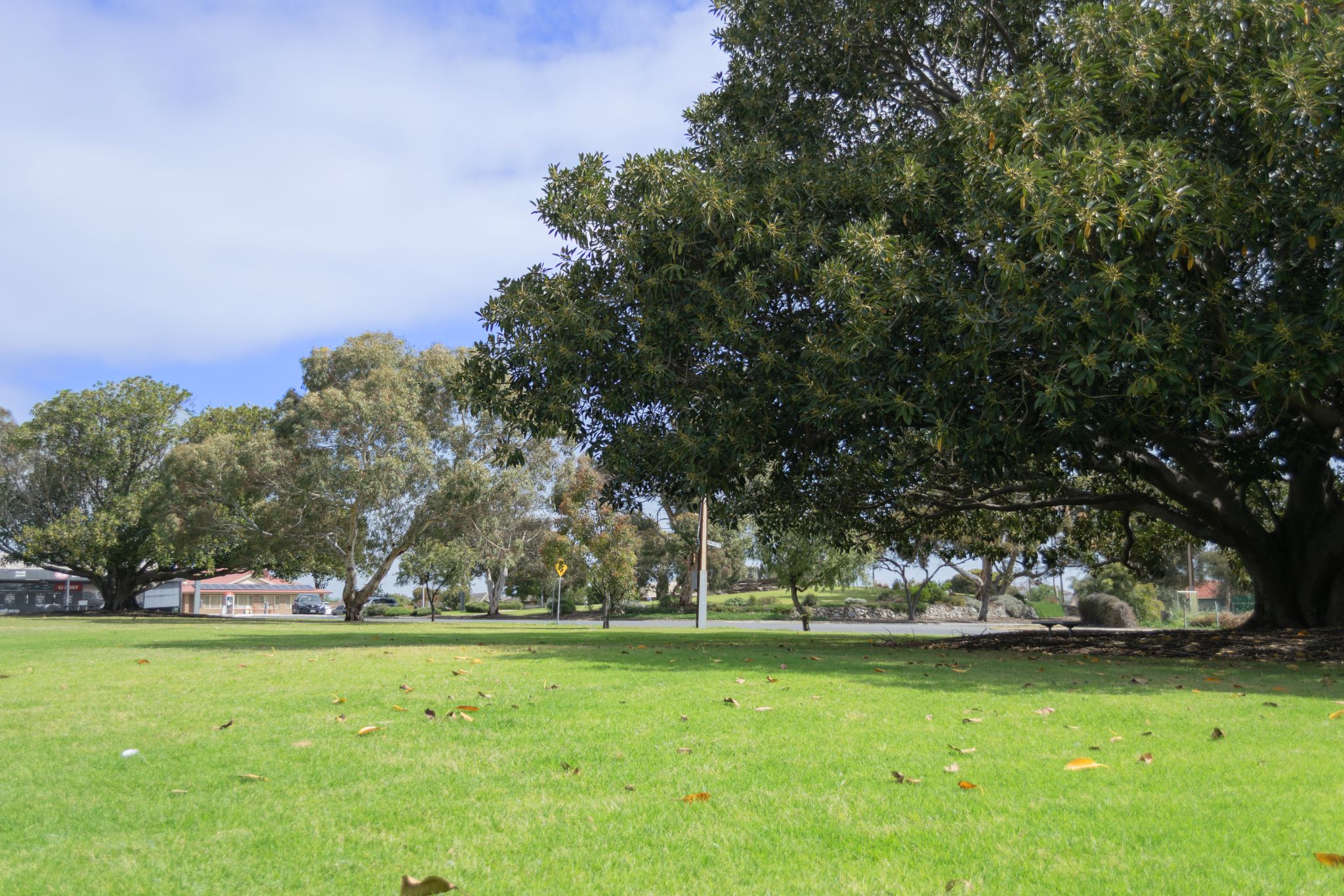 Greenspace