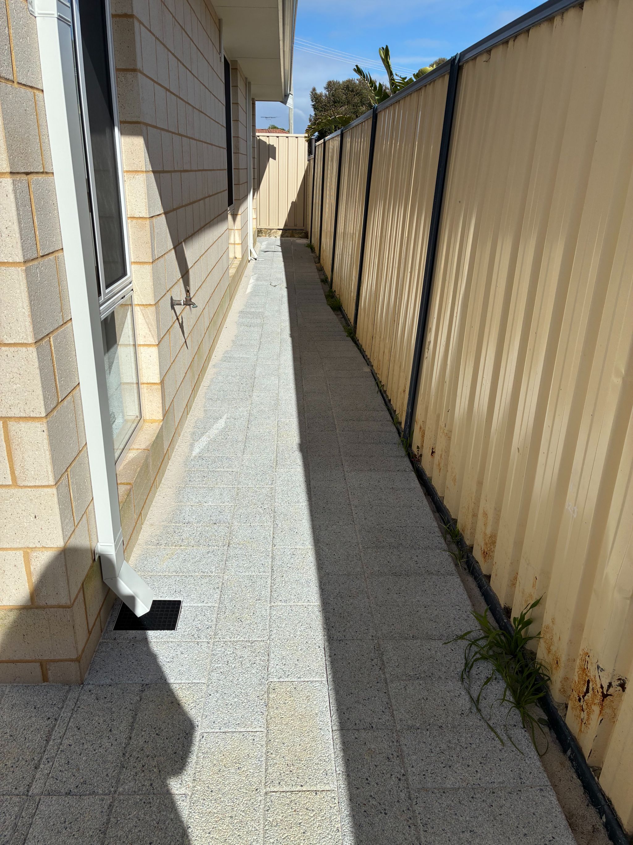 IMG 0074
