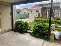 Backyard 2