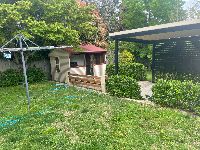 Backyard3