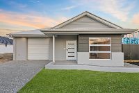 PROFESSIONAL PHOTO   LOW RES 1