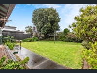 35 Ranelagh Street Glengowrie   Backyard