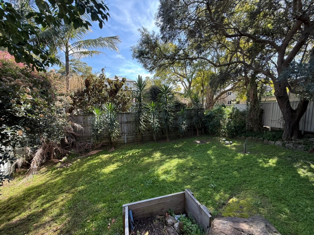 Back yard