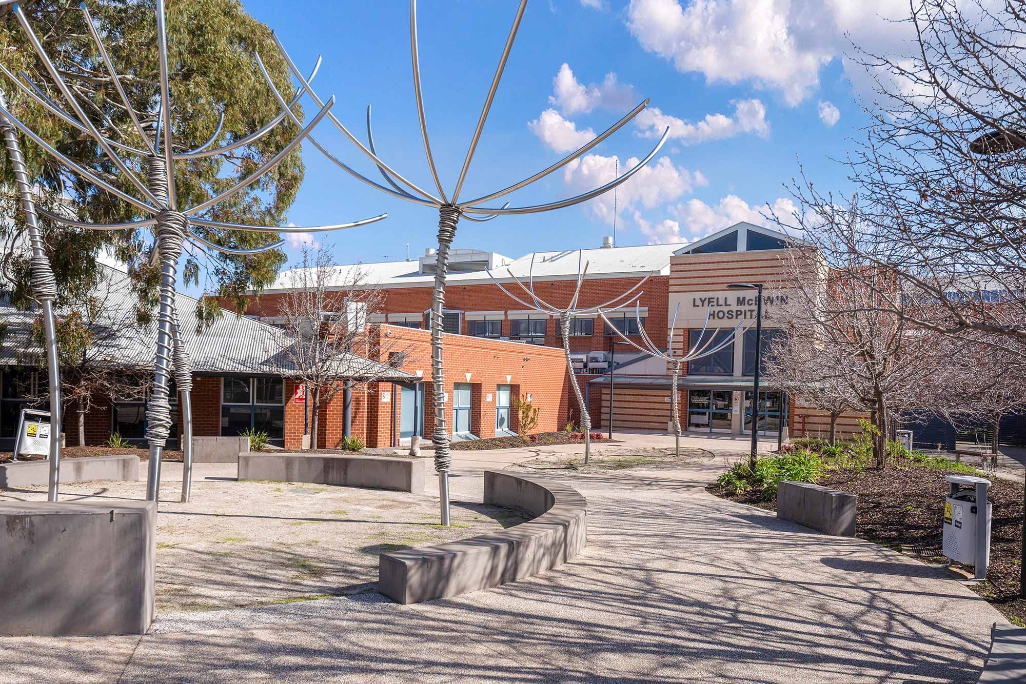Elizabeth Vale Lyell McEwin Hospital LR No Logo