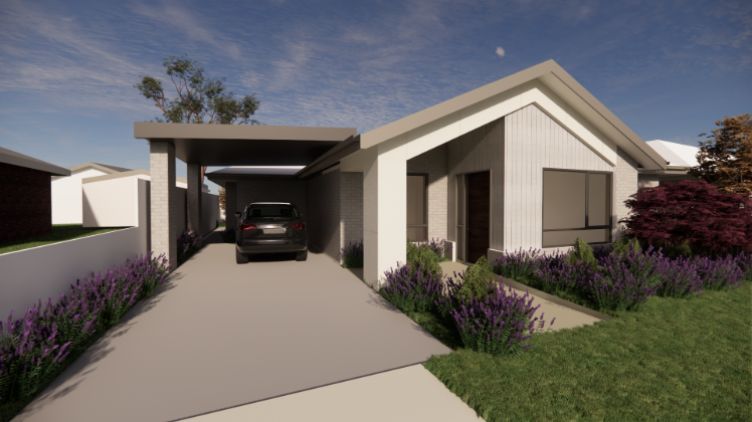 resized image 1