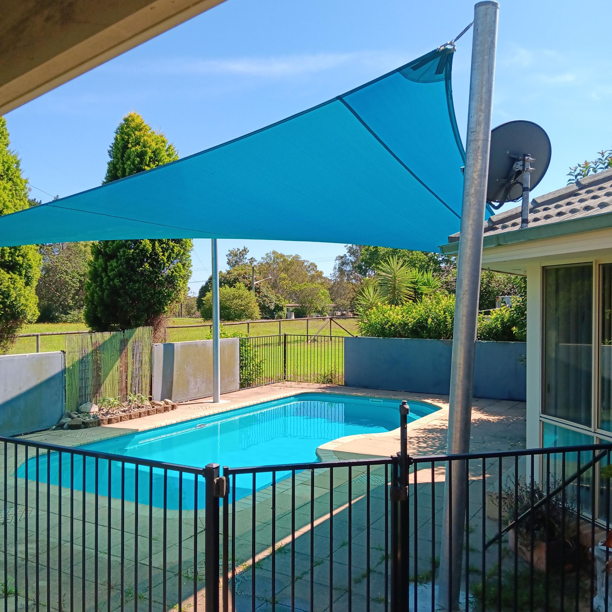 Morisset 5