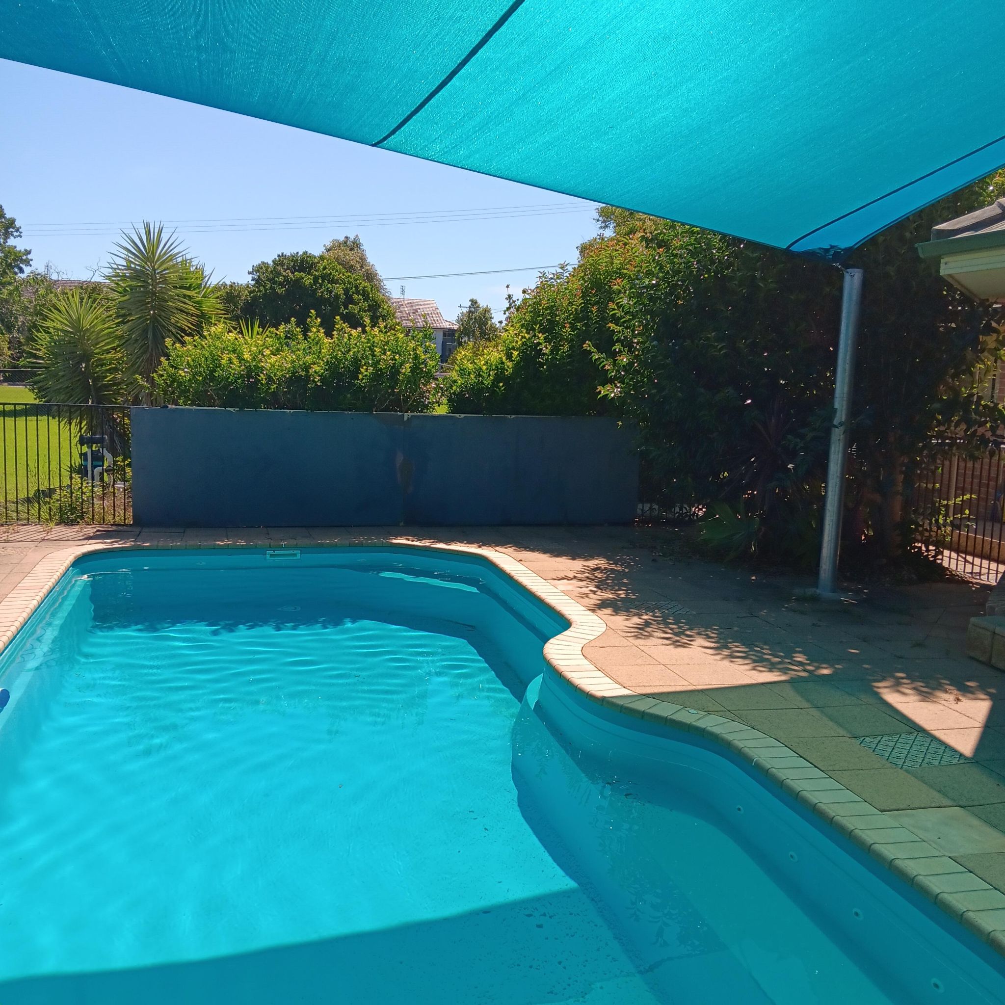 Morisset 3