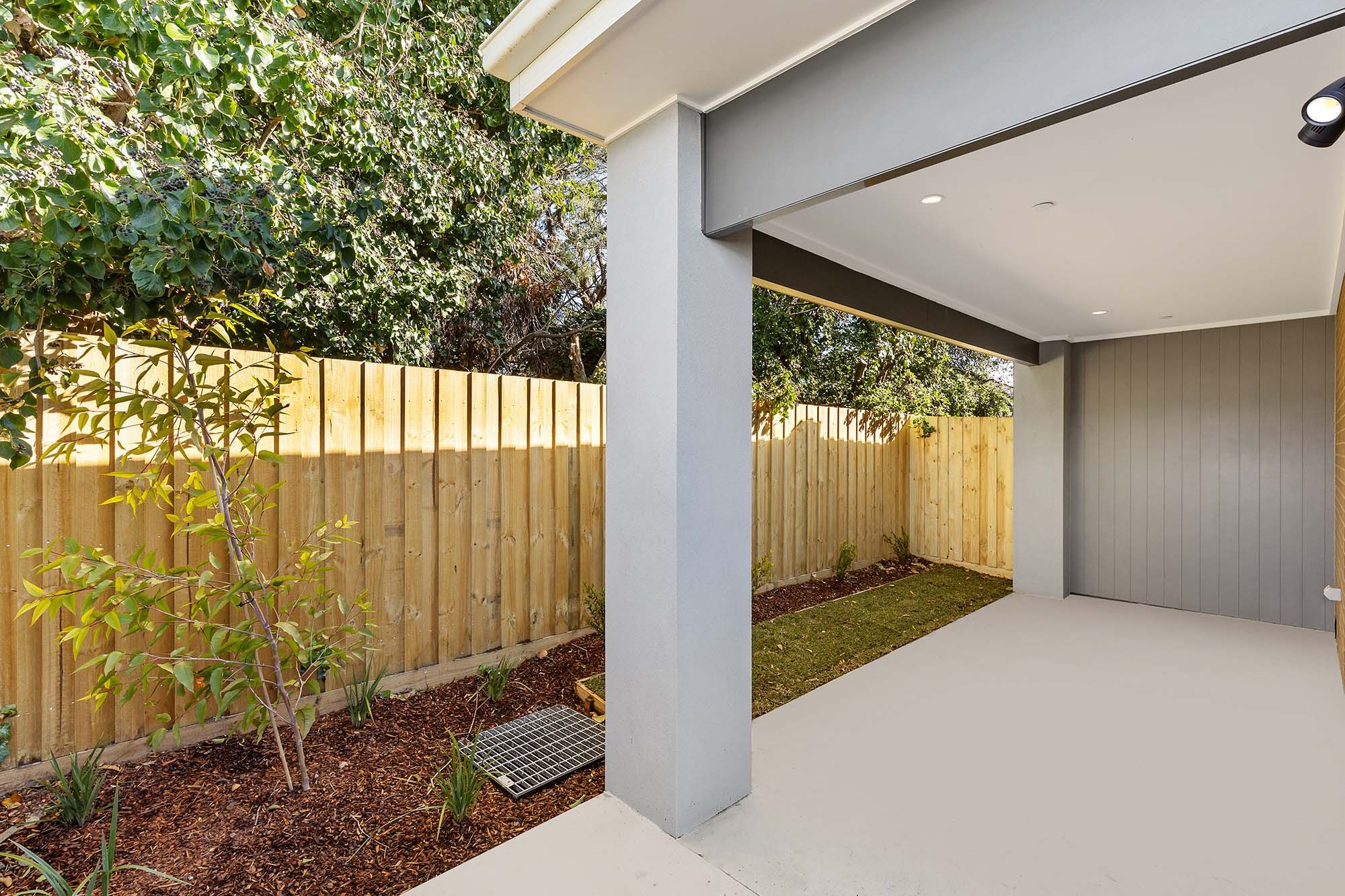 Scotch Backyard 2 LR No Logo
