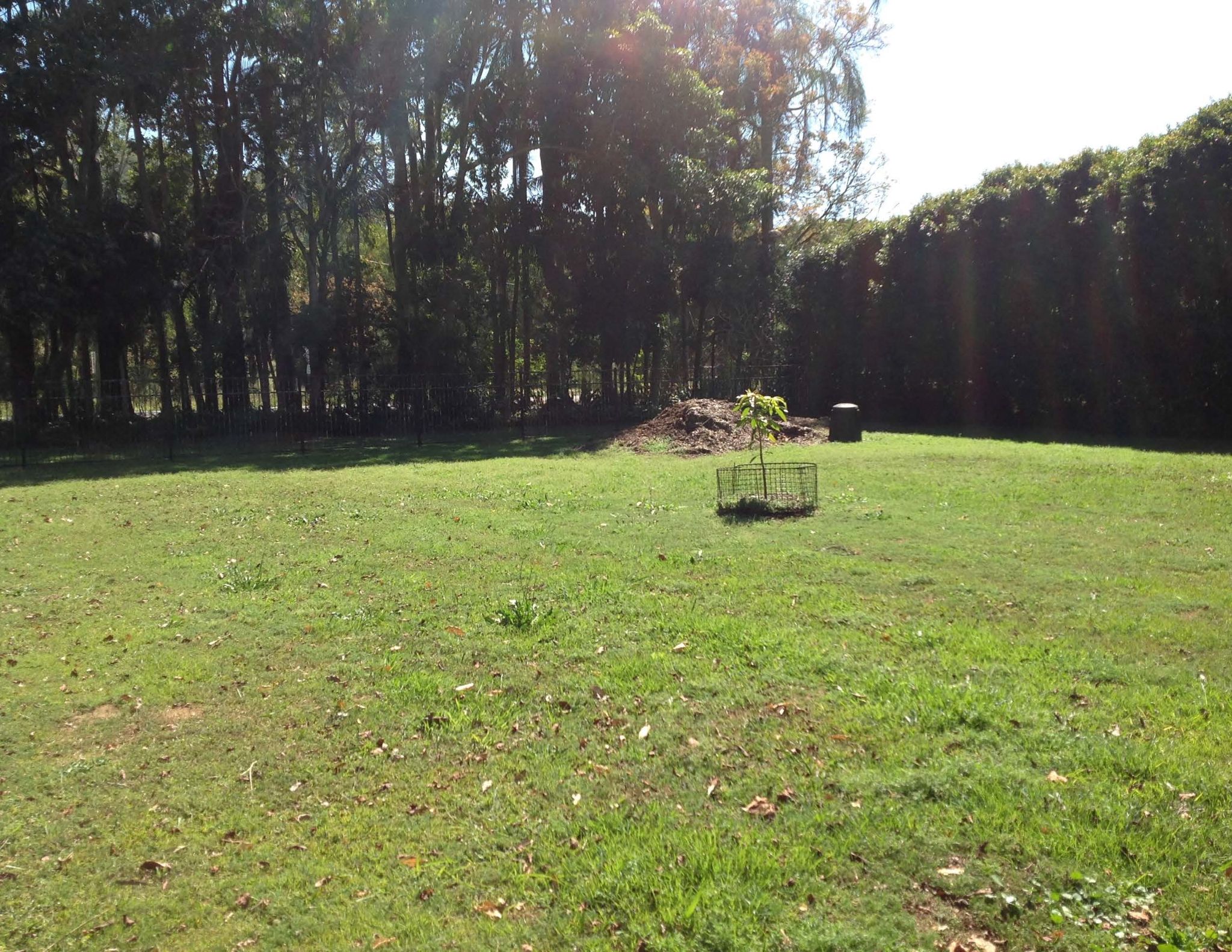 Front yard
