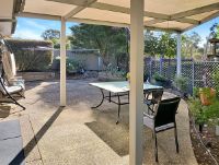 Back garden