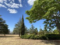 IMG 1782 C