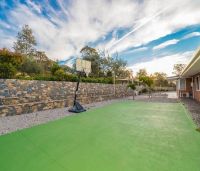 Backyard NEW