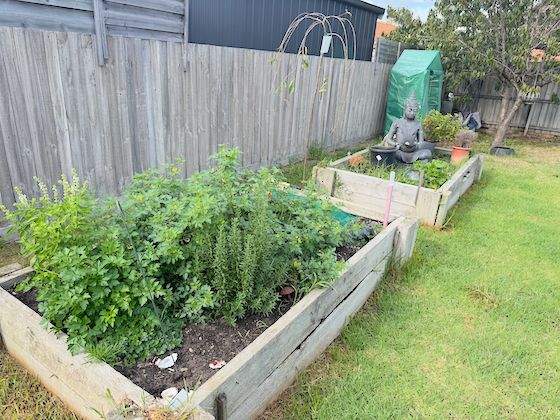 herb garden