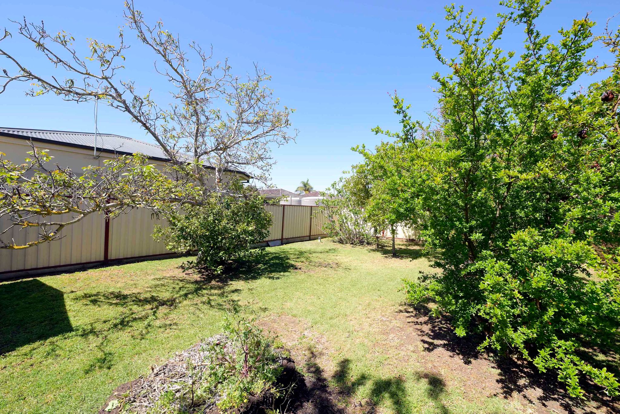 Sunnypine15484 38A St Albans