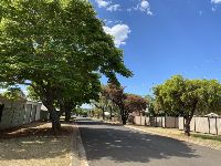 IMG 1784 C