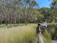 Elements grass land with anna n Jai small