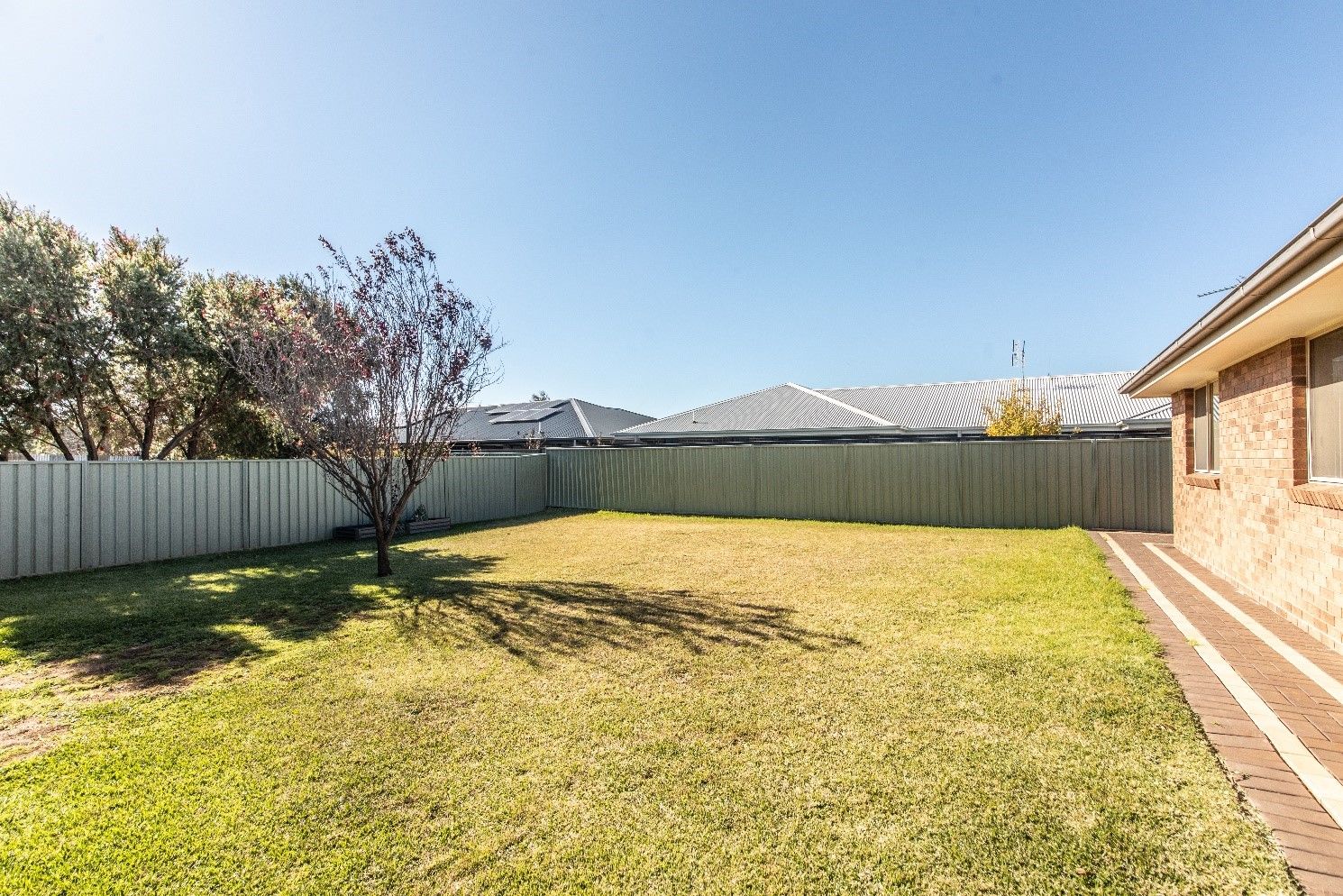 NSWORA J backyard 1