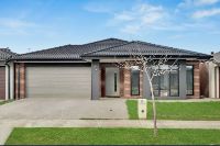 ixp8a6w74ubz5lkx9srm