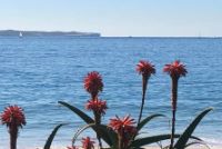 b964173e e181-4b2a-8027-decdccd60154