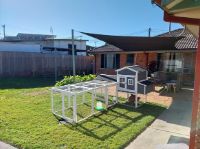 Gateshead   Back Yard 2