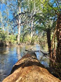 E53BDE3D 6A67-4C90-8CB6-3168B62A006C_1_201_a