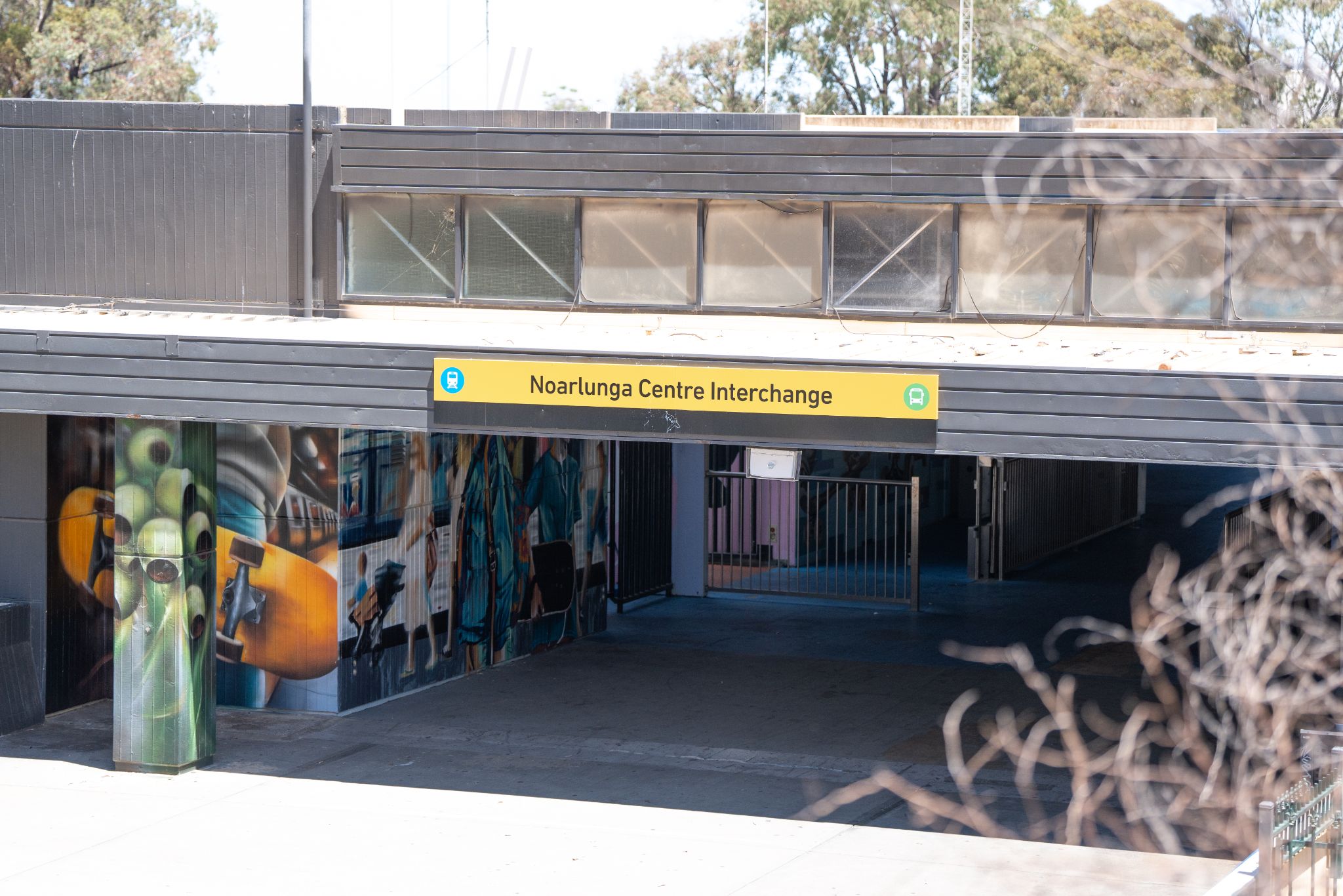 Avenu   Christie Downs-150 (1)