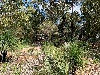 Castlefern local park 5