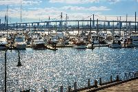 Williams Town Beach  12)