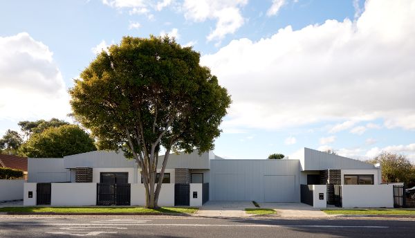 240415 Speck_Hastings_Reinders_0043