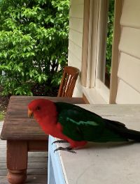 C26F3269 1EC6-4E3A-BF7D-CC30AB78920D