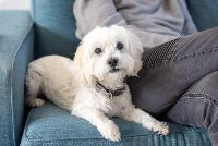 McCall Services_041_email