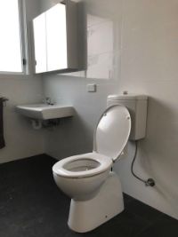Pagewood Toilet