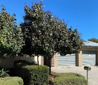 external pic 3   Copy