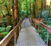 1C0BF48D 5DBE-48F6-BC5D-BC9D0B8C4024