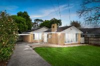 WhatsApp Image 2024 08-05 at 10.10.43 PM