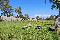 All Disability Services   Backyard Firepit