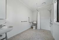 large thumbnail_Petunia 2