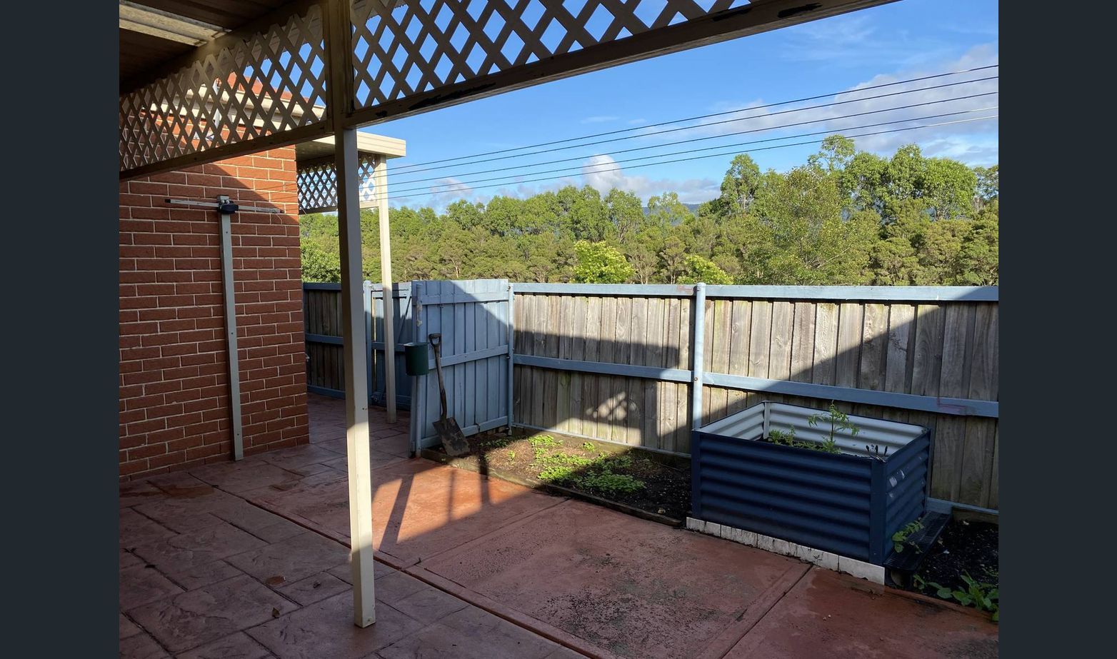 Back Yard North,20200324